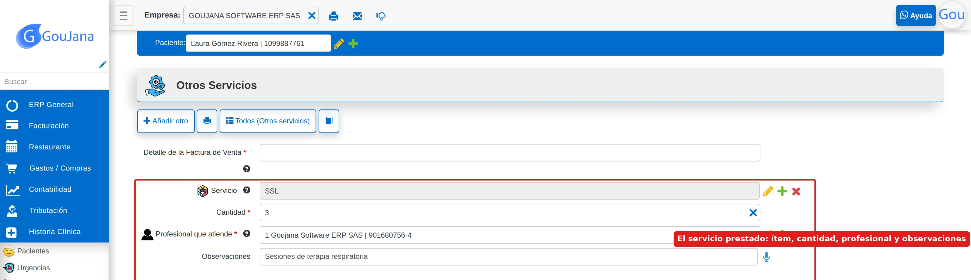 Formulario de otros servicios con el ítem, cantidad, profesional y observaciones