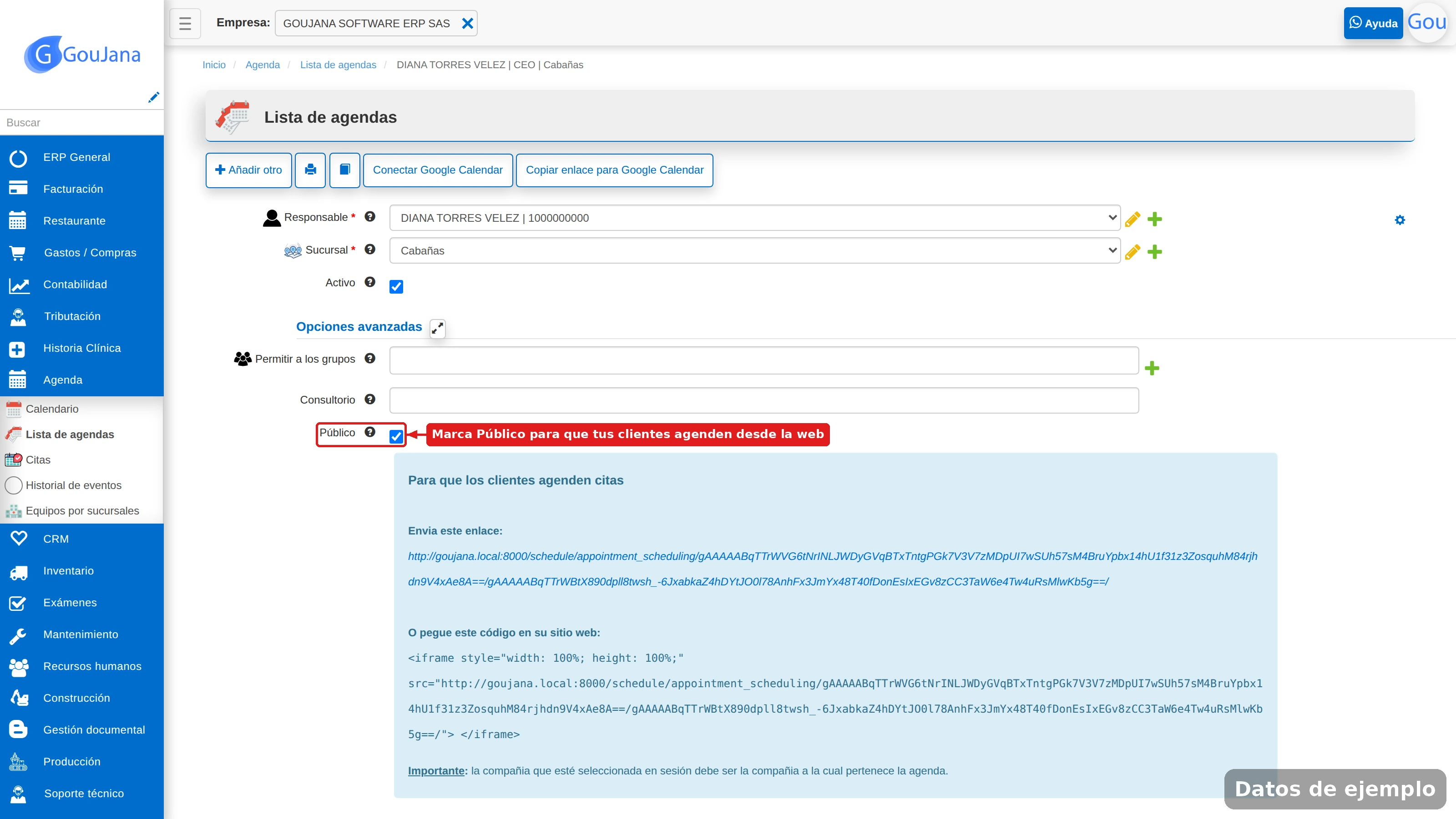 Casilla Público de la agenda con el enlace para clientes y el código iframe para el sitio web